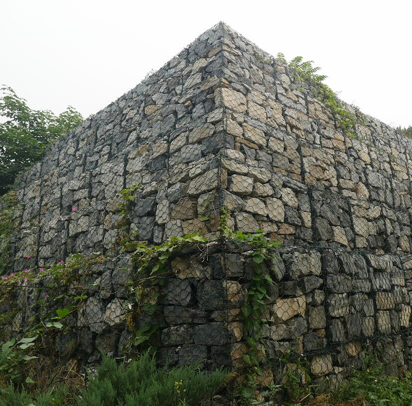 ���e�W����