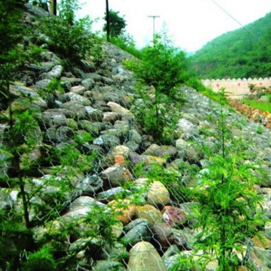 ���B�o�¾Wʯ�\�|