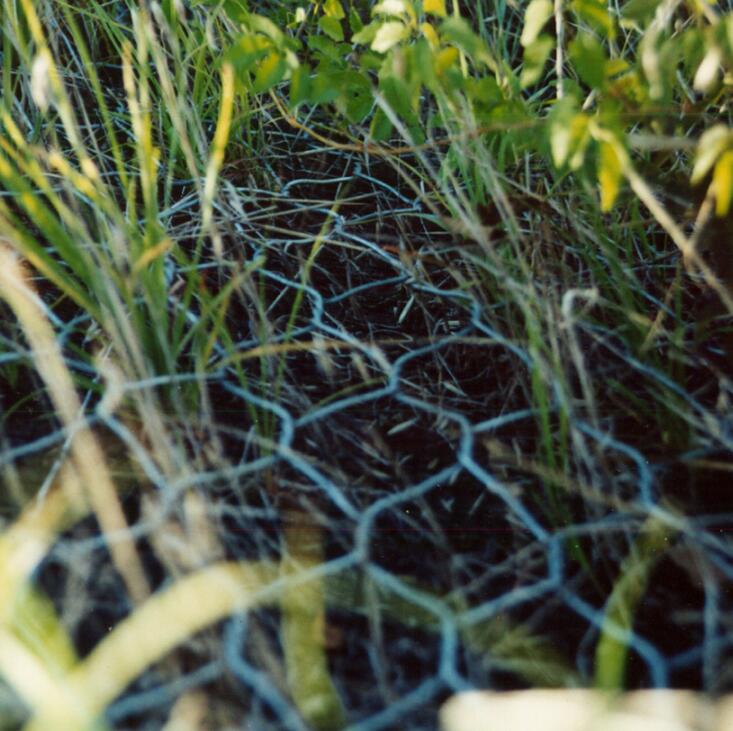 涂塑pe石籠網箱