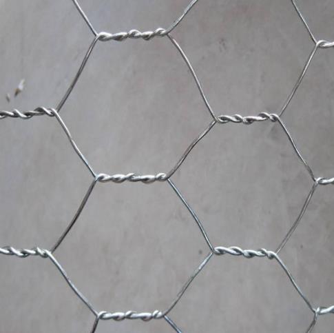 擰花六角網(wǎng)
