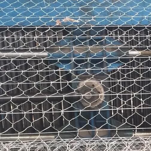 路面加筋網價格