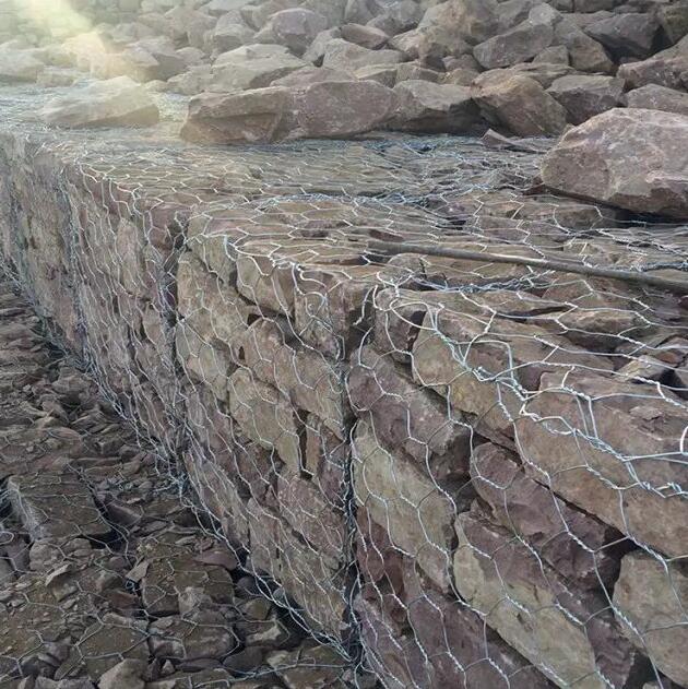 鍍高爾凡雷諾護墊價格